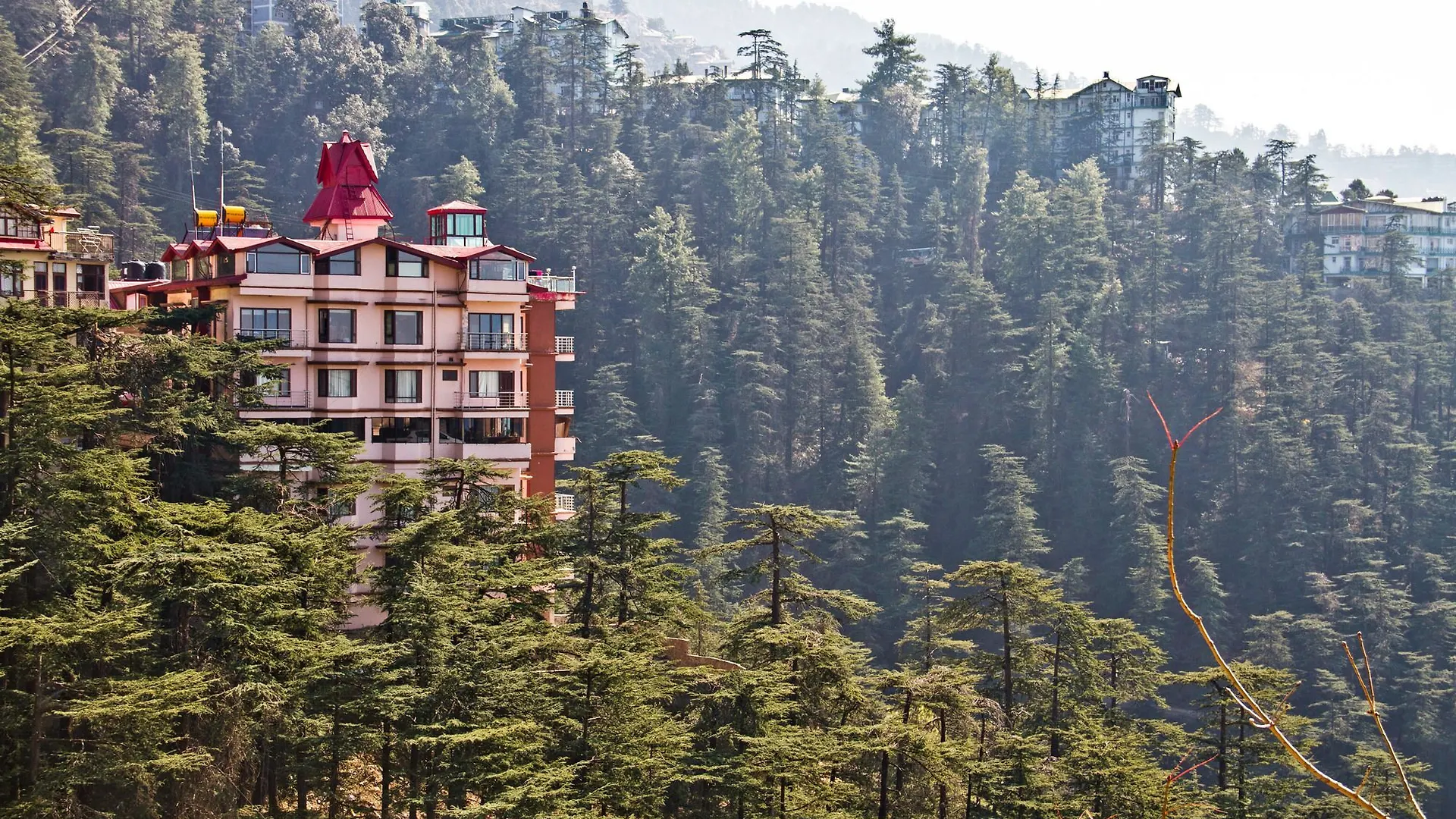 Hotel Oyo Premium 148 The Bodhi Tree Bnb Šimla